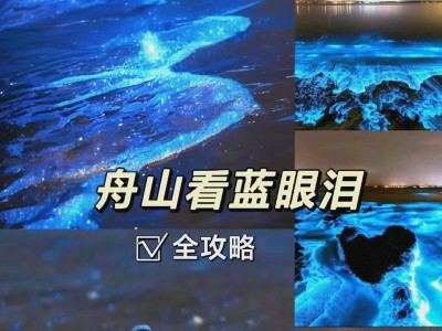 追寻金刚鹦鹉的华丽羽翼（探索金刚鹦鹉的生态特征和珍稀保护）