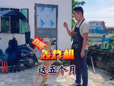五个月大小狗的饮食需求（为宠物狗提供均衡营养的饮食）
