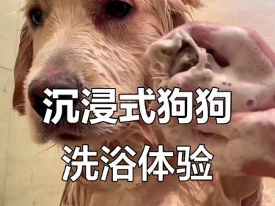 如何给狗狗洗澡（选择合适的洗澡方式让你的狗狗爱上洗澡）