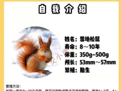 一线仓鼠的饲养方法（打造幸福鼠宅，让它们健康成长）