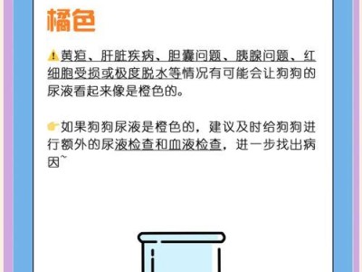 如何判断正常狗狗尿液的颜色？（宠主在家也能轻松分辨）