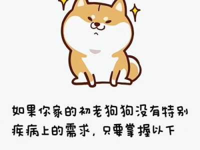 养狗的日常需求与责任（每天陪伴、培养和照顾）