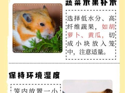 仓鼠的洗澡需求及方法（了解仓鼠的洗澡习性，为它提供适宜的清洁环境）