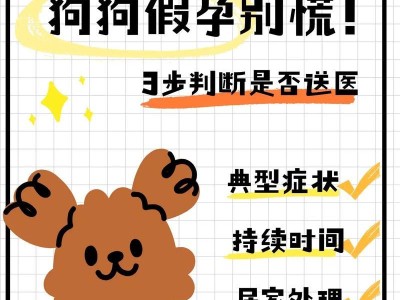 拉布拉多狗狗假孕的表现及处理方法（探索拉布拉多狗狗假孕现象的原因与解决方案）