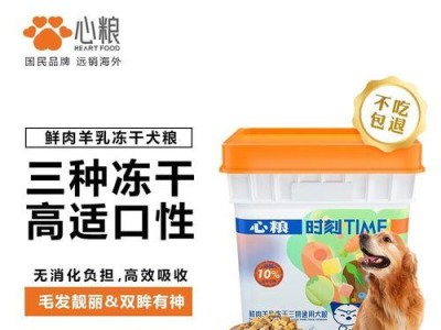 金毛犬的营养需求与干粮搭配之道（健康饮食保证宠物金毛的成长）