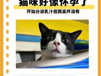 猫怀孕20天的症状及护理要点（宠物猫的早期妊娠表现与护理指南）