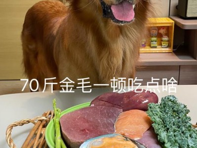 金毛狗的饮食指南（为你的金毛宠物选择正确的食物）