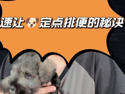 小狗几个月开始自己大便？（探索小狗自己大便的时间节点和训练方法）