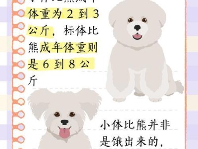 比熊犬肩高的意义与特点（揭秘比熊犬肩高的秘密，解读它的身体特点与品种特征）