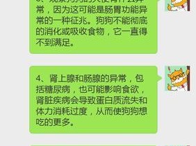 科学合理的狗狗每日总食量掌控方法（了解狗狗饮食需求，让它健康快乐生活）