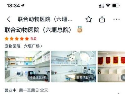 公猫绝育后的恢复时间和注意事项（了解公猫绝育恢复时间，让它们更快乐健康）
