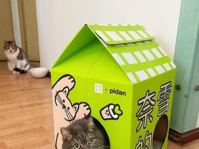 打造舒适猫窝的必备物品（猫咪专属空间的完美装备及使用指南）