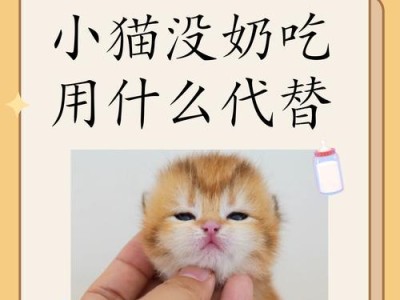 月猫的奶饮料之旅（深入了解一只猫一个月的奶饮料消费习惯）
