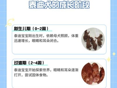 泰迪一岁为什么不吃食？（探究泰迪不吃食的原因及解决方法）