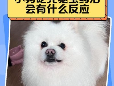 小狗饮食后合适的遛步时间（小狗饮食后多久需要遛步？）