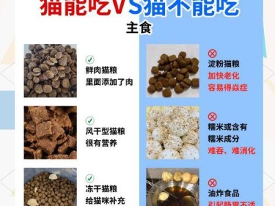 猫咪自己吃东西的时间及注意事项（掌握猫咪自主进食的时间和方式，让它们保持健康快乐）