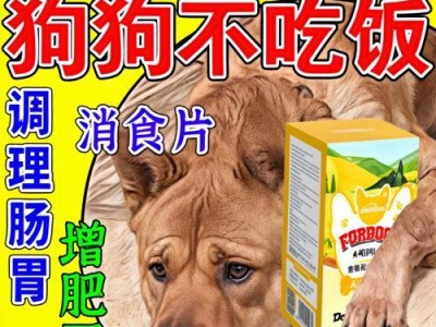 如何帮助瘦弱的狗狗增肥（增肥方法和注意事项，让宠物健康成长）