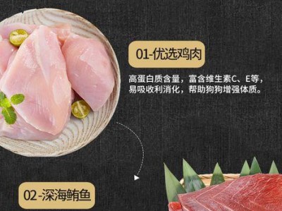 如何科学饲养金毛，保证充足的营养需求（金毛每顿吃多少才是标准？）