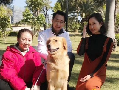 狗厂的主要食品是什么？（探究狗厂为狗狗提供的主要食品种类和特点）