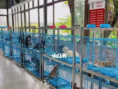 探寻东莞的宠物狗买卖之地（宠爱家庭的最佳选择，东莞宠物市场全解析）
