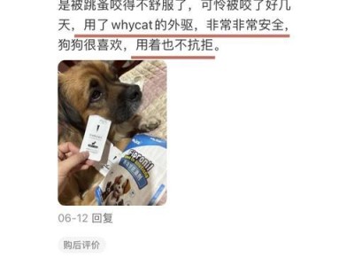 狗狗驱虫后多久可以遛狗的注意事项（关于狗狗驱虫后合适的遛狗时间和方法）