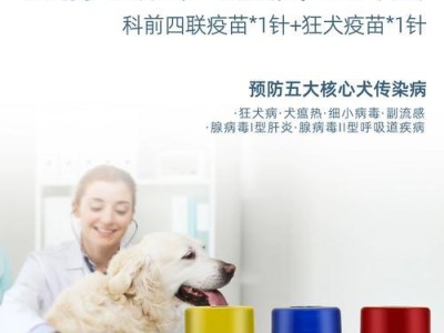 狗疫苗保护时间有多久？（了解狗疫苗的保护期和关键因素）