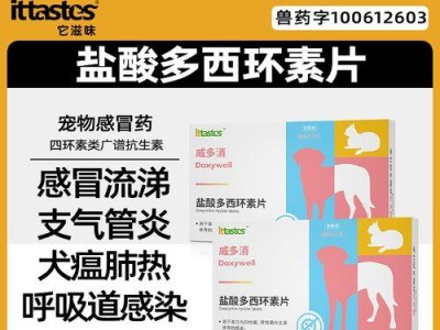 如何治疗感冒发烧的猫？（探究猫感冒发烧的药物治疗方法）