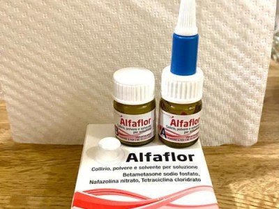 狗瘟结膜炎的药物治疗方法（有效药物及其作用机制）