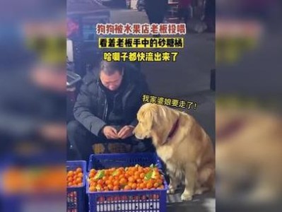 科学喂养才能健康成长——狗狗的饮食秘籍（辟谣！狗狗并非吃得多就长得快，主人需注意三点投喂技巧）