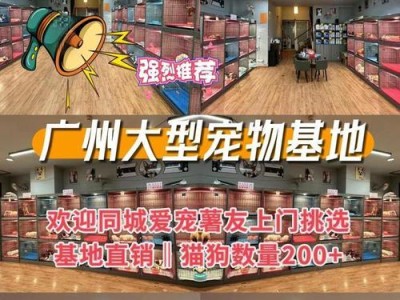在宠物店购买狗需要的手续（宠物店购买狗的合法程序及所需资料）