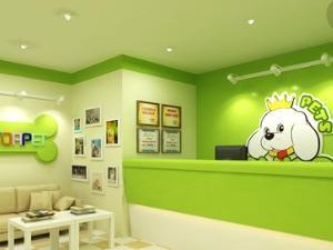 宠物店开业所需条件详解（从经营许可到店面布置，打造一家成功的宠物店）