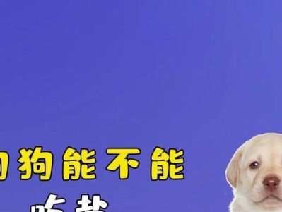 狗狗能吃盐吗？揭开误导的真相！（探究狗狗饮食中的盐摄入，为你的爱宠带来清晰答案）