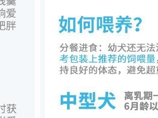 保护母狗免受怀孕的有效药物（寻找防止母狗怀孕的理想选择）
