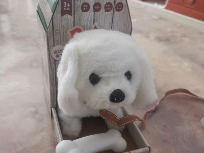 宠物狗的需求与关怀（宠物狗的日常所需和健康维护，）