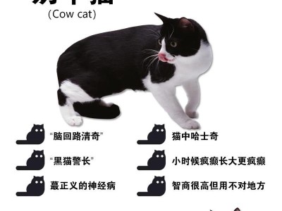 哈士奇养殖指南（了解哈士奇的养殖要点，打造健康快乐的宠物生活）