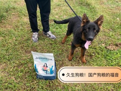 狗狗生狗，准备必备用品一览（为迎接新生小宝贝，你需要这些东西！）