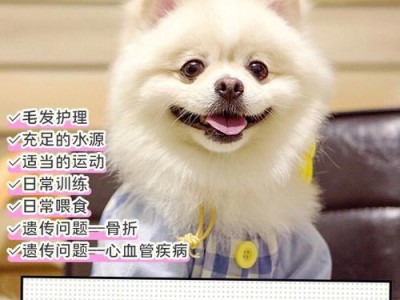 科学喂养狗狗的注意事项（合理喂食频率与饲养要点）