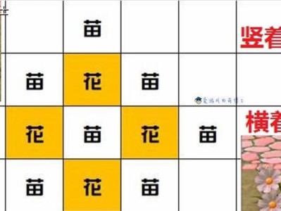 五彩青蛙的饲养技巧（让你成为五彩青蛙的贴心管家）