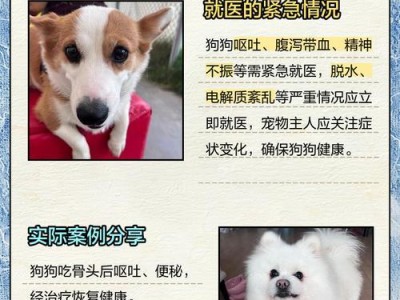干呕的狗狗可能患有胃酸倒流症状（了解胃酸倒流及其对狗狗的影响）