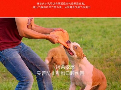 金毛犬的运动量和体力分析（金毛犬的活力无限，如何避免运动伤害）
