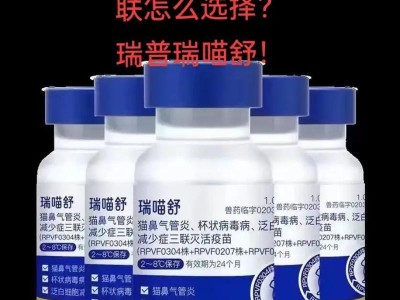 养猫家庭常备药品指南（为猫咪健康常备药品，做好猫咪的健康守护）