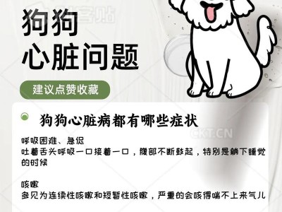 春季狗狗的健康需注意（春季狗狗保健小贴士）