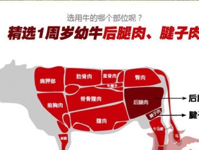 牛头獒的饲养方法（了解牛头獒的生活习性和饲养技巧）
