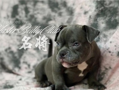 恶霸犬的成长周期及形态定型时间（了解恶霸犬成长过程的关键要素及时间节点）