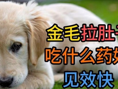 金毛掉毛厉害怎么办？（金毛掉毛厉害吃什么好？）