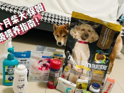 柴犬的饮食管理秘籍（合理安排餐次，健康喂养柴犬）