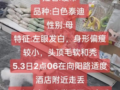 泰迪犬为什么毛会变白（探究泰迪犬毛发变白的原因及如何护理）