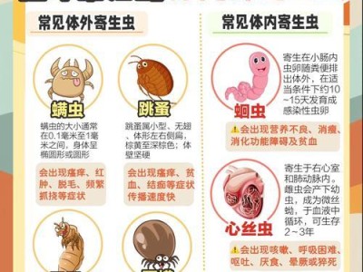 猫咪驱虫最全攻略（养猫必备！以猫咪驱虫应该怎么做？）