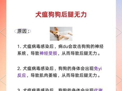 狗得了犬瘟能坚持多久的秘密（探究犬瘟热对狗的影响及其治愈过程）