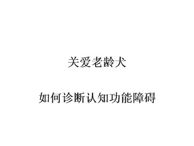 养老年犬还是幼犬？选择最适合的狗狗伴侣（以年龄为标准，如何选择适合自己的狗狗伴侣？）